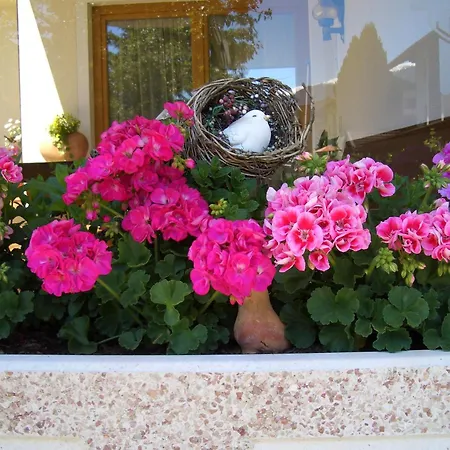 Gaestehaus Burgi フューゲン