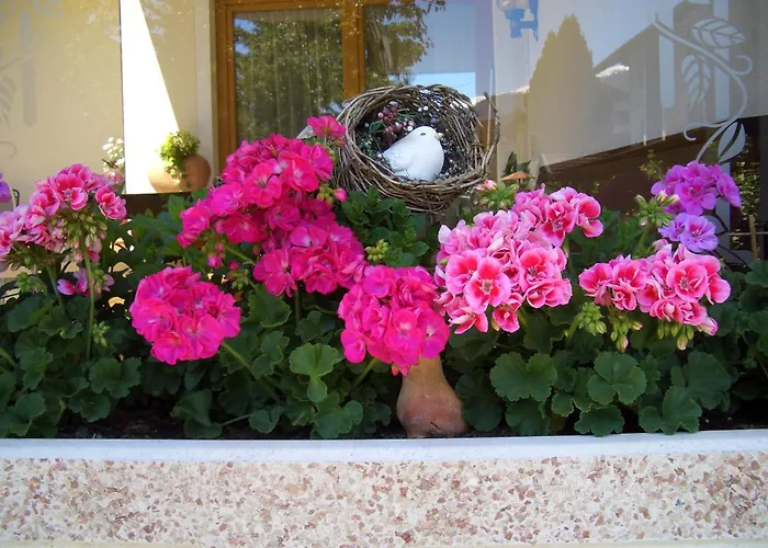 Gaestehaus Burgi Fuegen