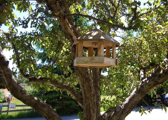 Гостьовий будинок Gaestehaus Burgi