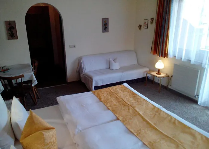 Guest house Gaestehaus Burgi Fuegen